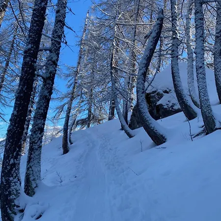 Les Melezes 1 アパート