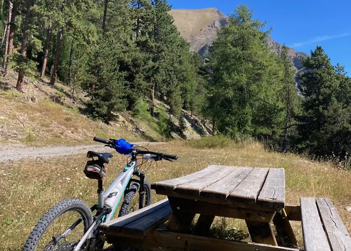 アパート Les Melezes 1 *