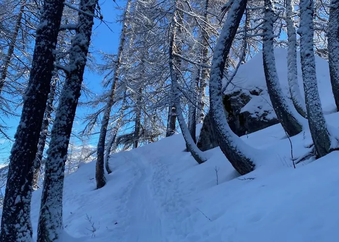 Les Melezes 1 Apartment